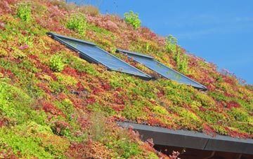 Higher Larrick living roof systems