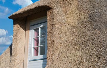 Higher Larrick thatch roof disadvantages