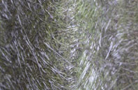 Higher Larrick fibreglass roof work